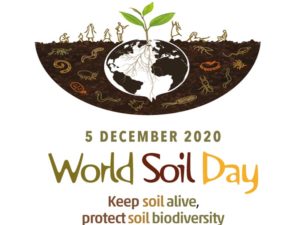 explore the land under our feet wold soil day 5th dec 2020