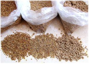 why you should be eating millets