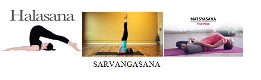 yoga asanas pranayamas for thyroid 2