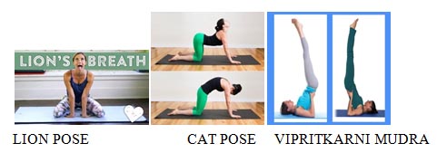 yoga asanas pranayamas for thyroid 3