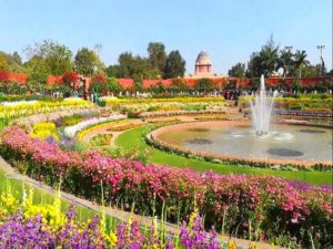 mughal garden 5