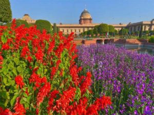 mughal garden 6