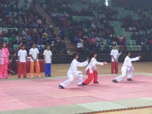 delhi junior wushu