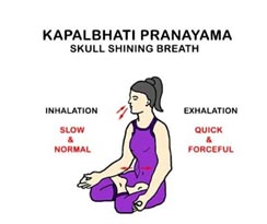 Kapalbhati Pranayamas