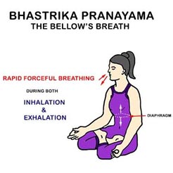 Bhastrika Pranayama 1