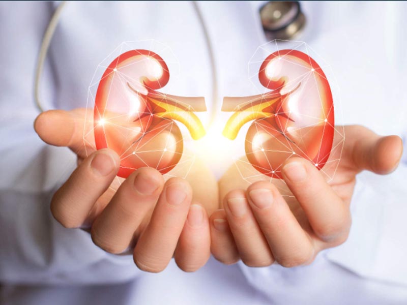 Kidney Care