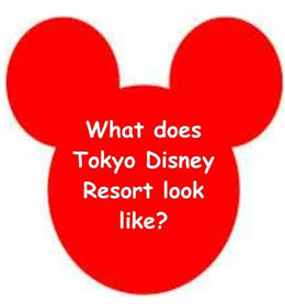 What does Tokyo Disney Resort look like