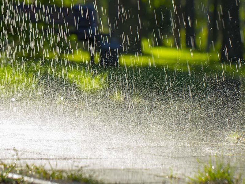 rain raining raindrops