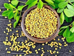 Fenugreek seeds