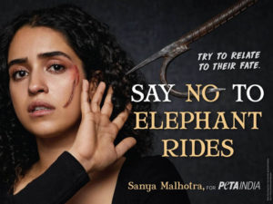Sanya Malhotra says No to Elephant Rides