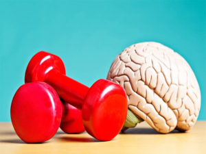 The Effects of Exercise on the Brain