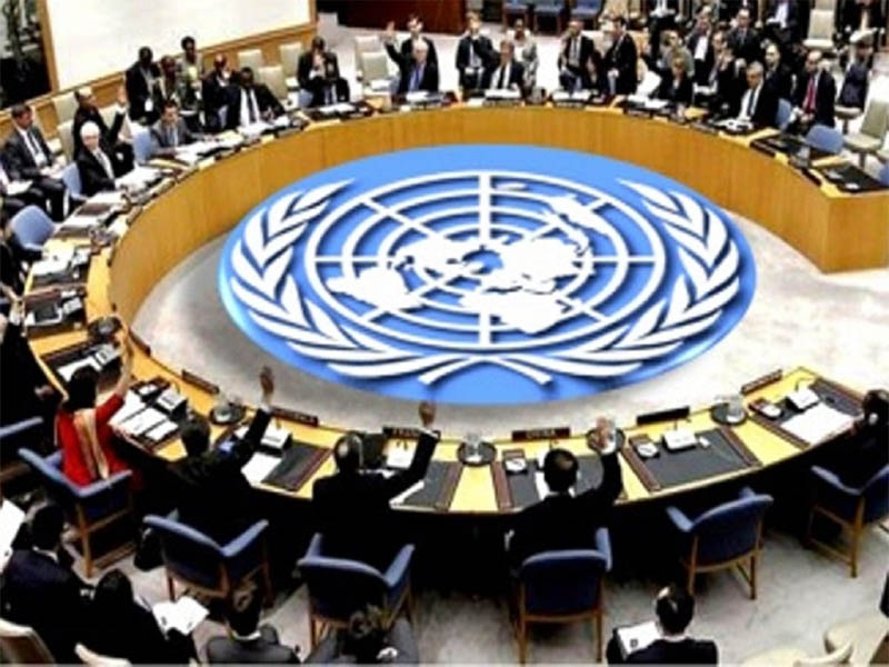 United Nations Security Council