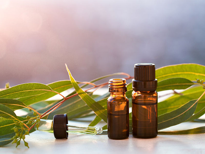 eucalyptus oil