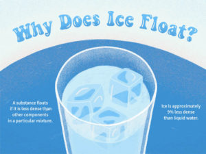 ice less dense than water