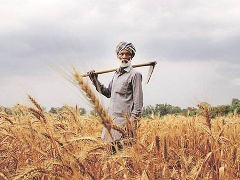 indian farmer