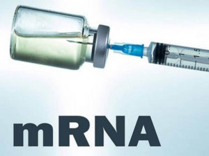 indias first mrna based covid vaccine