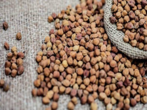 Benefits of eating soaked Kala Chana