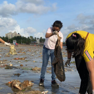 Volunteers pick and collect waste