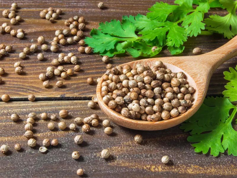 Coriander Seeds Benefits