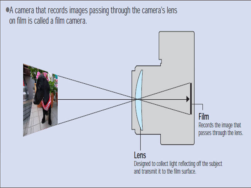 How does a camera work