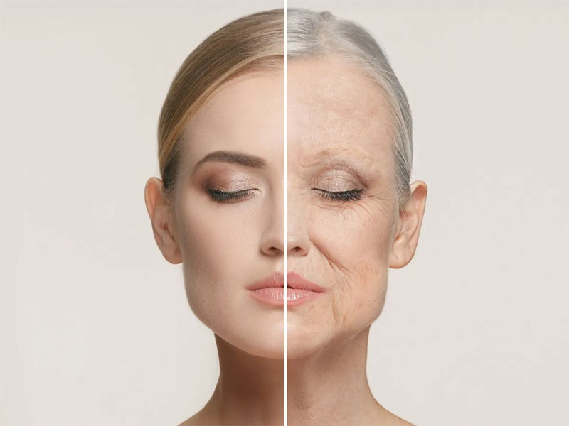 Reason for wrinkles on skin in the Old age