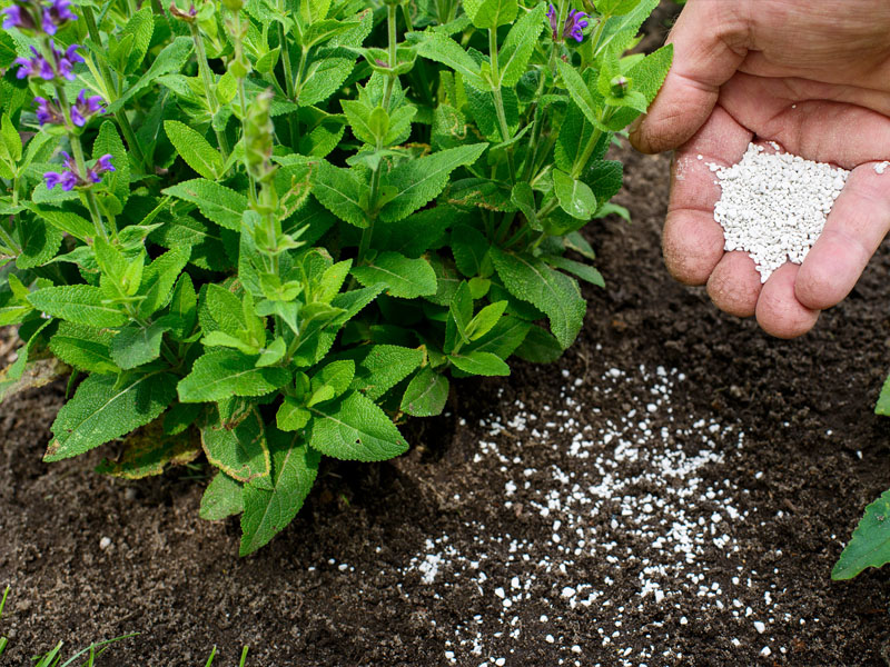 Where does most fertilizer come from