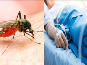 Dengue Malaria cases Increased in Delhi NCR