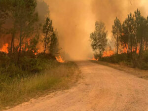 wildfires scorch parts of europe amid extreme heat wave