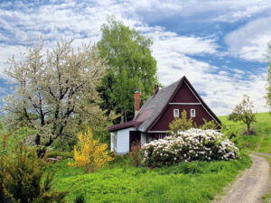 Abandoned Home