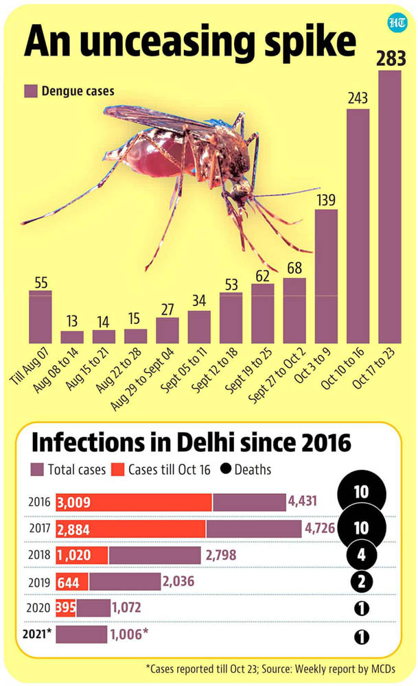 Dengue cases on rise in Capital 2