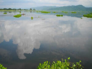 india adds 11 more wetlands designated as ramsar sites
