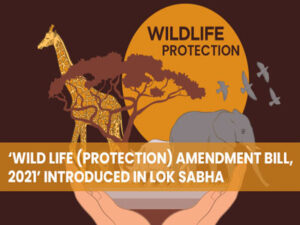 wild life protection amendment bill 2021