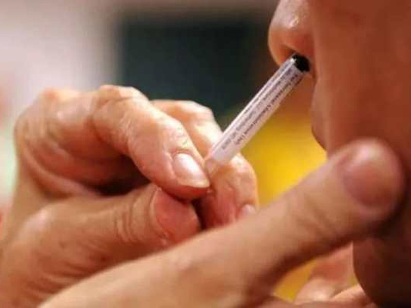 dcgi gives nod to india s first intranasal covid vaccine