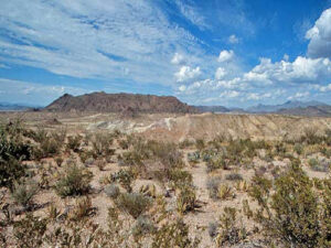 Chihuahuan desert in northern Mexico