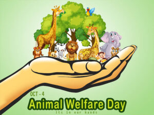 World animal welfare day