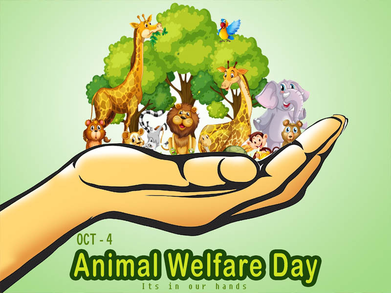 World Animal Welfare Day - Saachi Baat