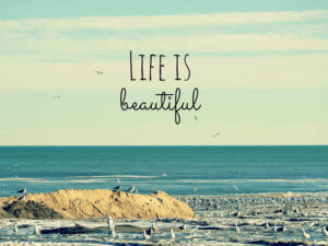 life is beautiful