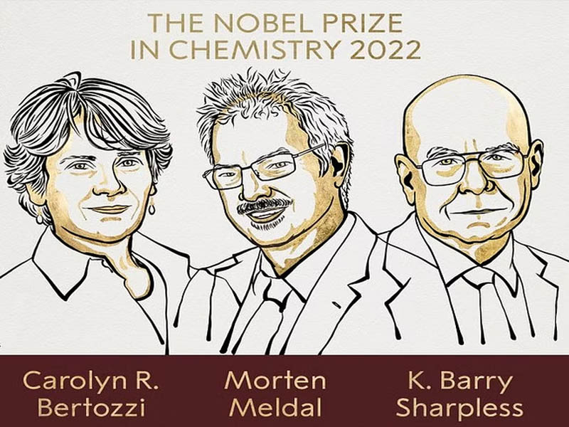 three scientists share 2022 nobel chemistry prize