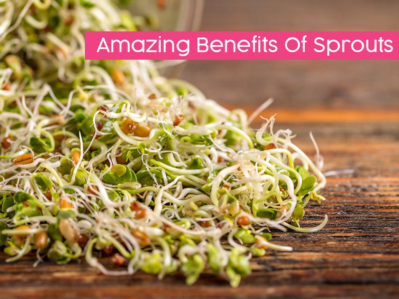 benefits of sprouts