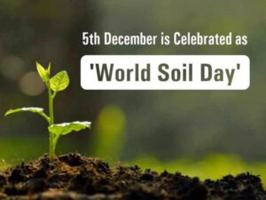 World Soil Day