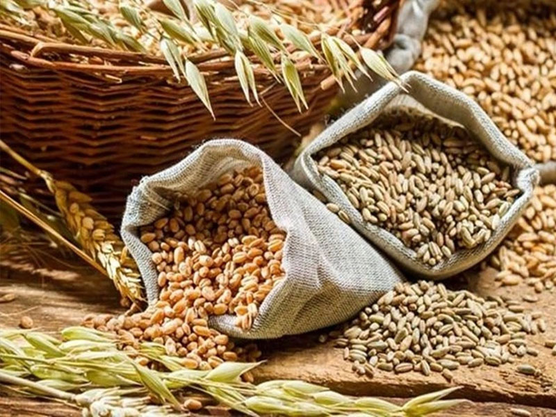 centre expects record production of foodgrains in 2022 23