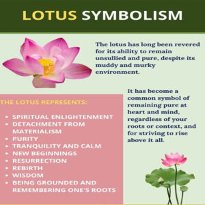 lotus flower is given Importance in Sanatan Dharma