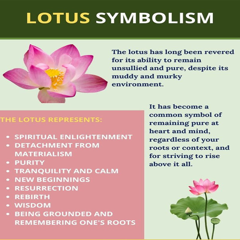 lotus flower is given Importance in Sanatan Dharma