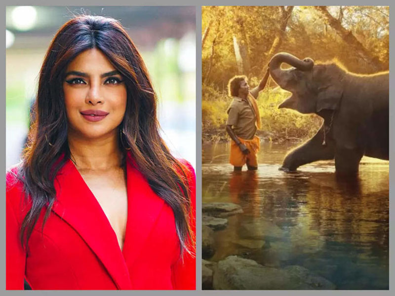 priyanka chopra showers praise on oscar nominated documentary the elephant whisperers