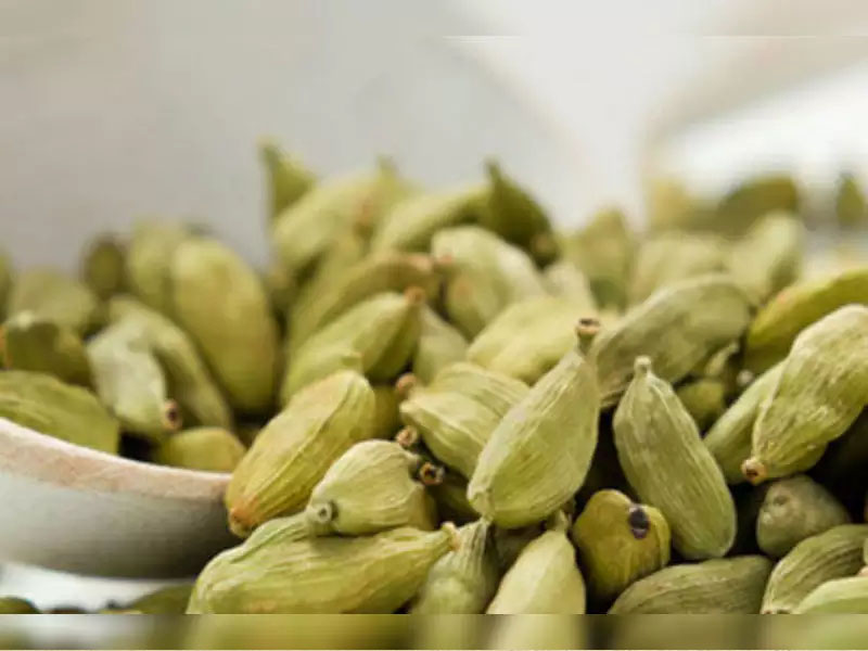 cardamom benefits