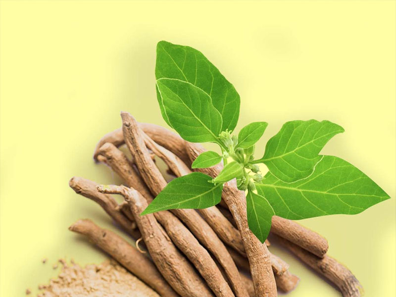 health benefits of ashwagandha