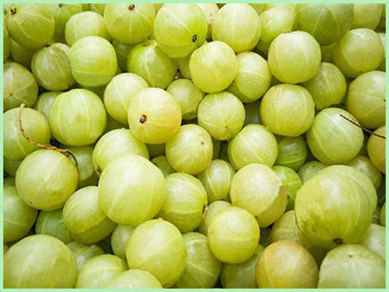 Amla