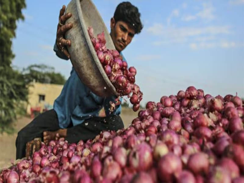 centre to buy 2 lakh metric tonnes onion