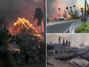 hawaii wildfire death toll surge to 53 over 1 000 structures burnt