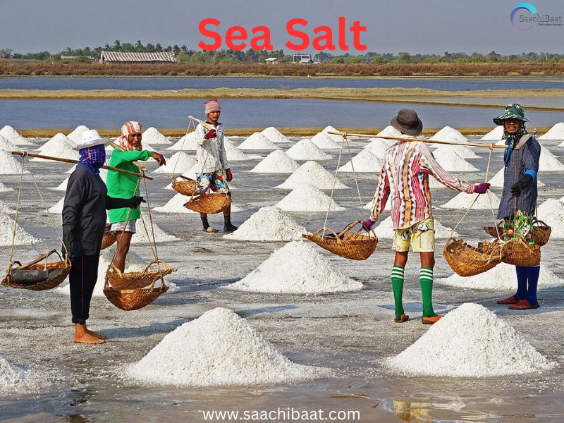 Sea Salt